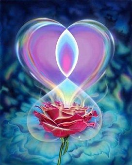 rose10